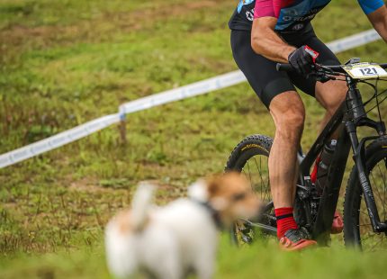 Vivus.lv MTB Maratons 6.posms | Žagarkalns72