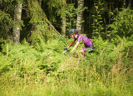 Vivus.lv MTB Maratons 6.posms | Žagarkalns206