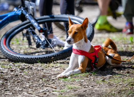 Vivus.lv MTB maratona 6.posms | Žagarkalns587