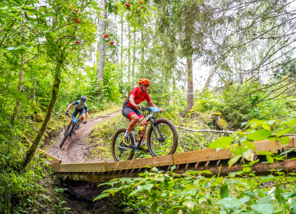 Vivus.lv MTB maratons 6.posms | Žagarkalns295