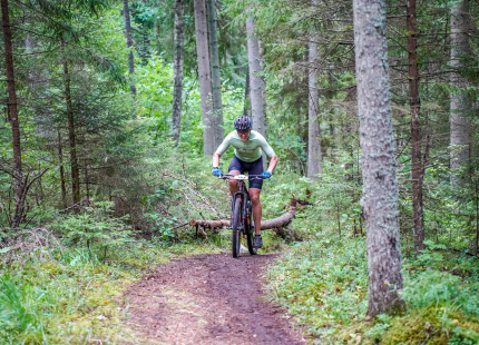 Vivus.lv MTB maratons 6.posms | Žagarkalns453