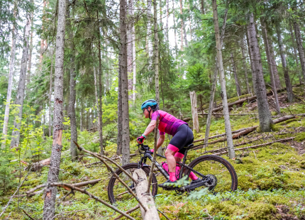 Vivus.lv MTB maratons 6.posms | Žagarkalns484