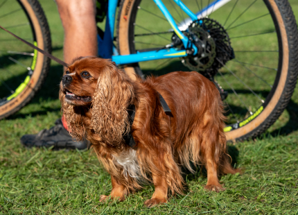 Vivus.lv MTB maratons 7.posms Ape/Vastse Roosa 159