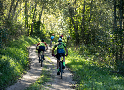 Vivus.lv MTB maratons 7.posms Ape/Vastse Roosa 140