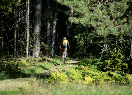 Vivus.lv MTB maratons 7.posms Ape/Vastse Roosa 238