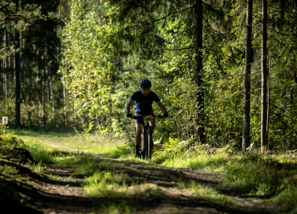 Vivus.lv MTB maratons 7.posms Ape/Vastse Roosa 240