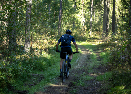 Vivus.lv MTB maratons 7.posms Ape/Vastse Roosa 241