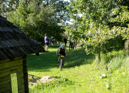 Vivus.lv MTB maratons 7.posms Ape/Vastse Roosa 265