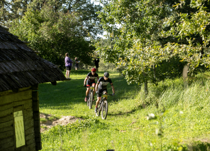 Vivus.lv MTB maratons 7.posms Ape/Vastse Roosa 268