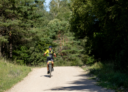 Vivus.lv MTB maratons 7.posms Ape/Vastse Roosa 340