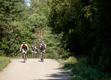 Vivus.lv MTB maratons 7.posms Ape/Vastse Roosa 354