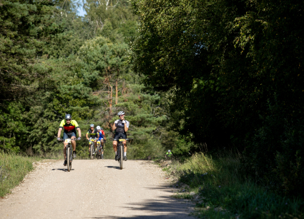 Vivus.lv MTB maratons 7.posms Ape/Vastse Roosa 355
