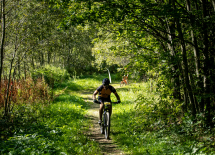 Vivus.lv MTB maratons 7.posms Ape/Vastse Roosa 370