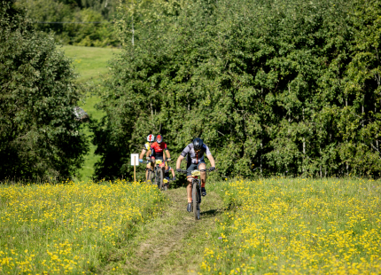 Vivus.lv MTB maratons 7.posms Ape/Vastse Roosa 387