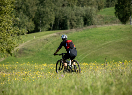 Vivus.lv MTB maratons 7.posms Ape/Vastse Roosa 431