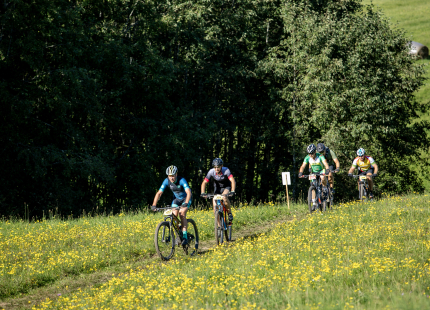 Vivus.lv MTB maratons 7.posms Ape/Vastse Roosa 433