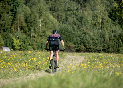 Vivus.lv MTB maratons 7.posms Ape/Vastse Roosa 461