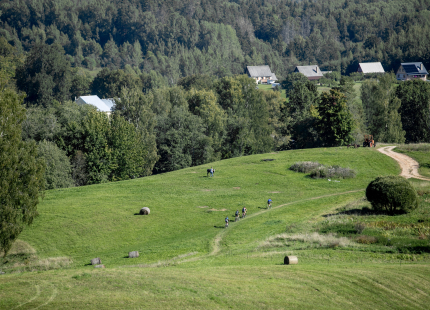 Vivus.lv MTB maratons 7.posms Ape/Vastse Roosa 462
