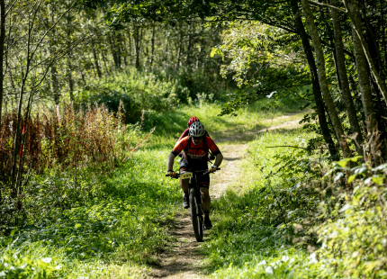 Vivus.lv MTB maratons 7.posms Ape/Vastse Roosa 567
