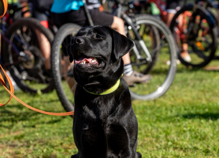 Vivus.lv MTB maratons 7.posms Ape/Vastse Roosa 65