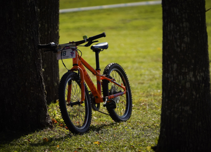 Vivus.lv MTB maratons 7.posms Ape/Vastse Roosa46