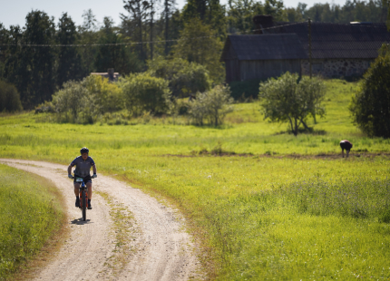 Vivus.lv MTB maratons 7.posms Ape/Vastse Roosa50