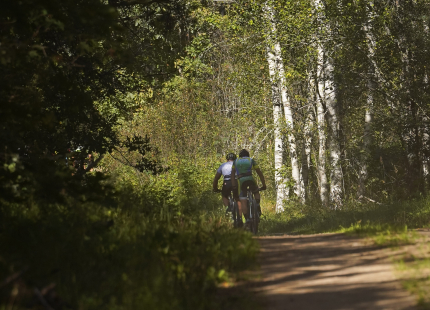 Vivus.lv MTB maratons 7.posms Ape/Vastse Roosa79