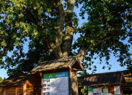 Vivus.lv MTB maratons 7.posms Ape/Vastse Roosa516