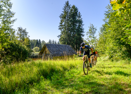 Vivus.lv MTB maratons 7.posms Ape/Vastse Roosa155