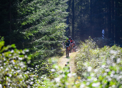Vivus.lv MTB maratons 7.posms Ape/Vastse Roosa729