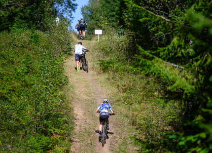 Vivus.lv MTB maratons 7.posms Ape/Vastse Roosa764
