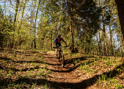 Vivus.lv MTB maratons 1.posms | Ķegums 202537