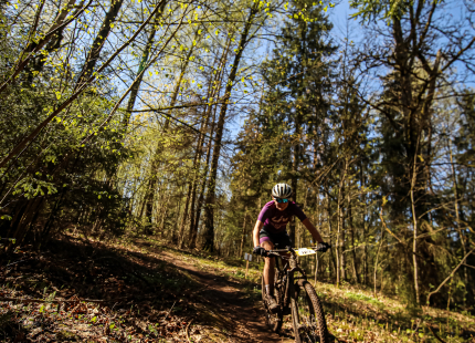 Vivus.lv MTB maratons 1.posms | Ķegums 202560