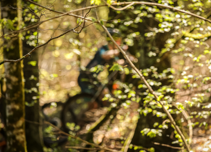 Vivus.lv MTB maratons 1.posms | Ķegums 2025491