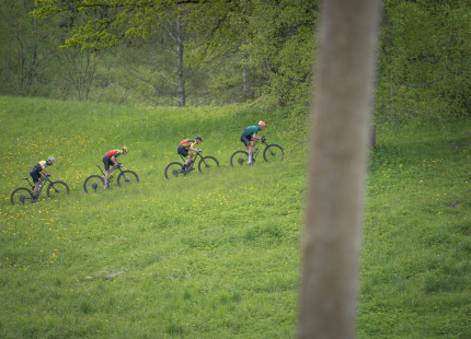 Vivus.lv MTB maratons, 2.posms | Kamparkalns, 202550