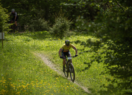 Vivus.lv MTB maratons, 2.posms | Kamparkalns, 202560