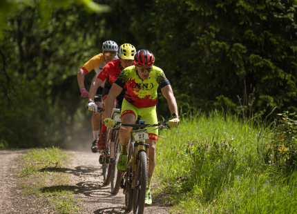Vivus.lv MTB maratons, 2.posms | Kamparkalns, 202570