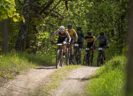 Vivus.lv MTB maratons, 2.posms | Kamparkalns, 2025100