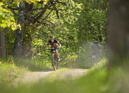 Vivus.lv MTB maratons, 2.posms | Kamparkalns, 2025110