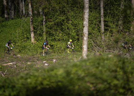 Vivus.lv MTB maratons, 2.posms | Kamparkalns, 2025190