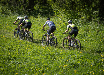 Vivus.lv MTB maratons, 2.posms | Kamparkalns, 2025241