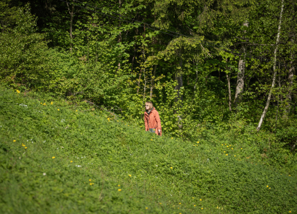 Vivus.lv MTB maratons, 2.posms | Kamparkalns, 2025259