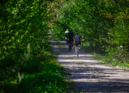Vivus.lv MTB maratons, 2.posms | Kamparkalns, 2025172