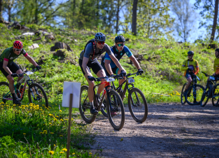 Vivus.lv MTB maratons, 2.posms | Kamparkalns, 2025182