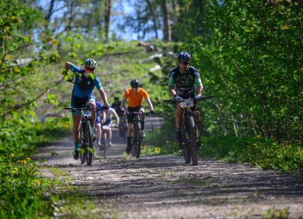 Vivus.lv MTB maratons, 2.posms | Kamparkalns, 2025191