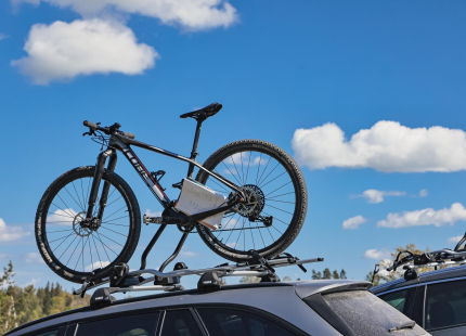 Vivus.lv MTB maratons, 2.posms | Kamparkalns, 2025103
