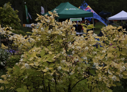 Vivus.lv MTB maratons 3.posms Opekalns262