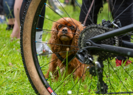Vivus.lv MTB maratons | Opekalns, 3.posms2