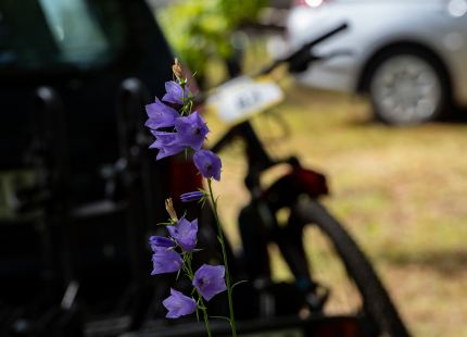 Vivus.lv MTB maratons | Opekalns, 3.posms13