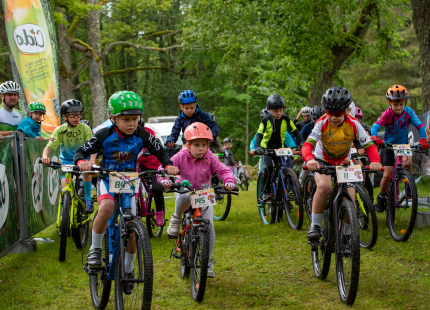 Vivus.lv MTB maratons | Opekalns, 3.posms39
